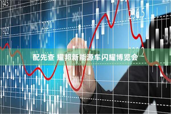 配先查 耀邦新能源车闪耀博览会