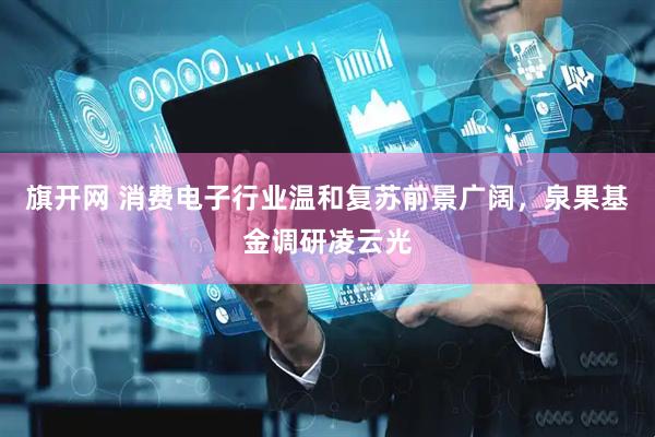旗开网 消费电子行业温和复苏前景广阔，泉果基金调研凌云光