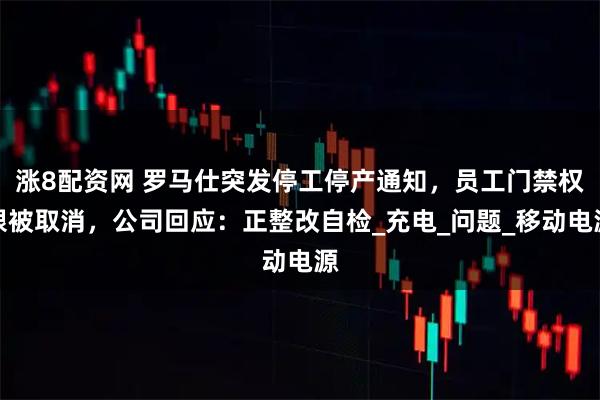 涨8配资网 罗马仕突发停工停产通知，员工门禁权限被取消，公司回应：正整改自检_充电_问题_移动电源