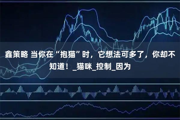鑫策略 当你在“抱猫”时，它想法可多了，你却不知道！_猫咪_控制_因为