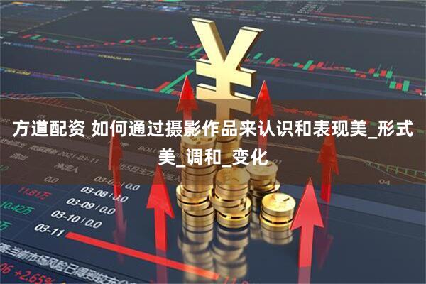 方道配资 如何通过摄影作品来认识和表现美_形式美_调和_变化