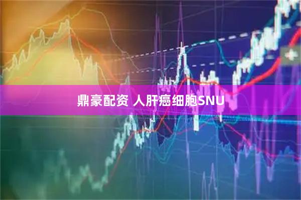 鼎豪配资 人肝癌细胞SNU
