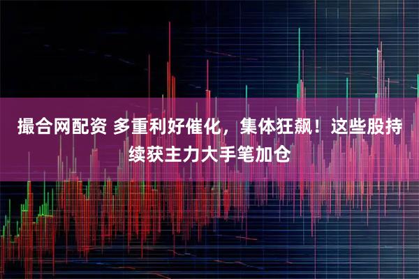 撮合网配资 多重利好催化，集体狂飙！这些股持续获主力大手笔加仓